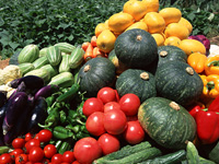 野菜