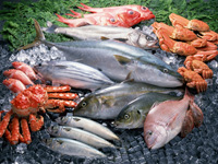 鮮魚